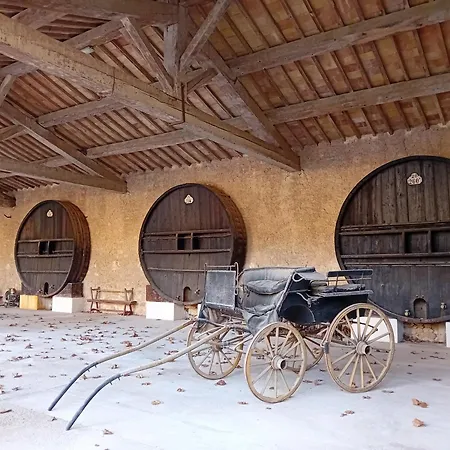 乡村民宿 Domaine De La Clapiere *